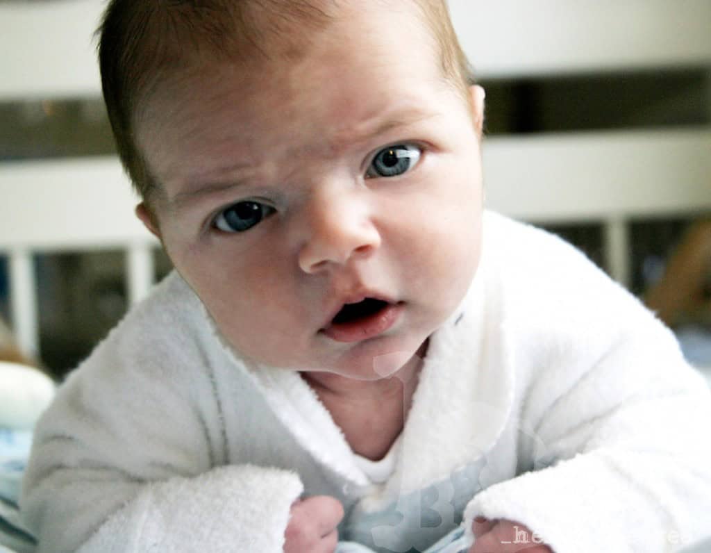 BabyPortrait